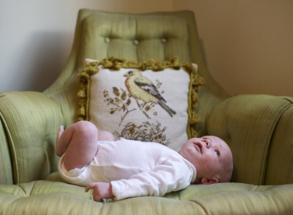 View More: http://marawolff.pass.us/metzler