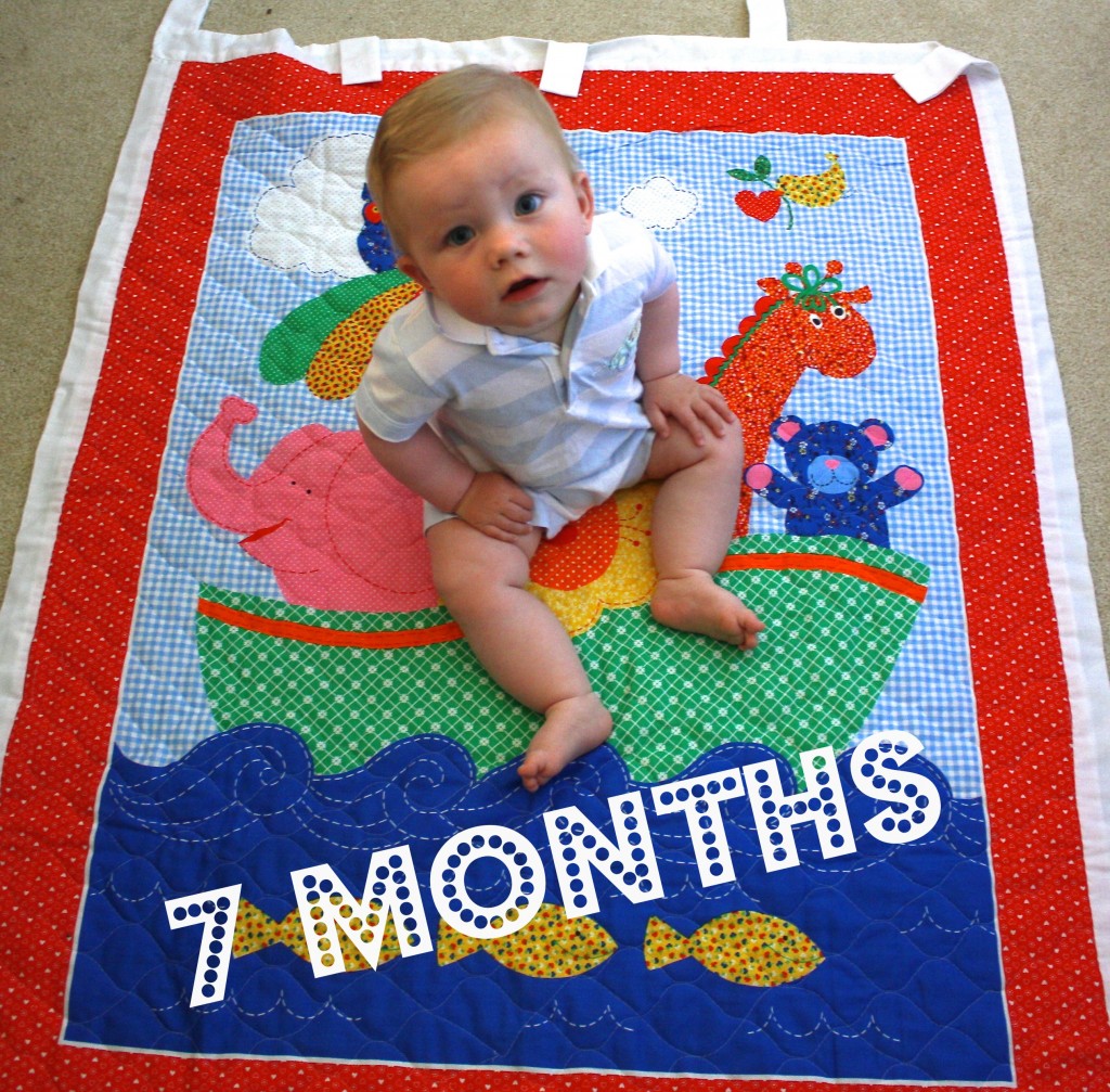 BR 7 Months