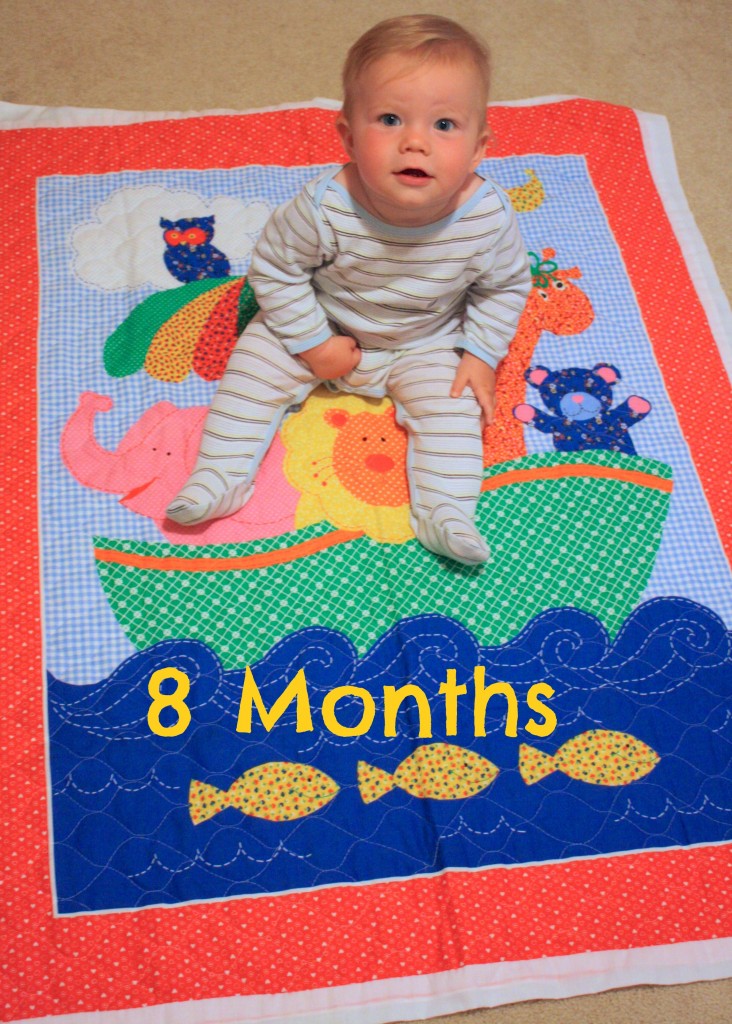 BR 8 months
